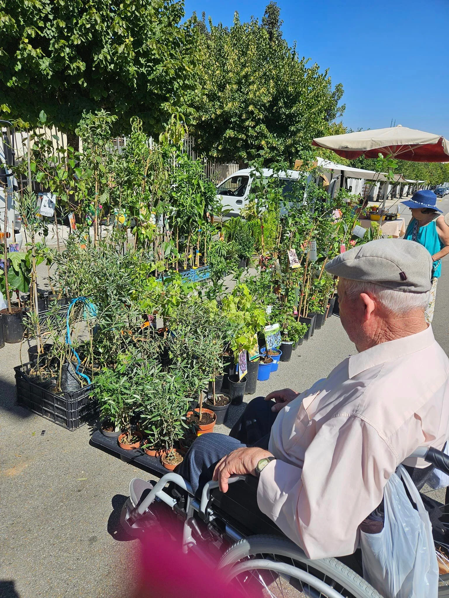 Feira do Emigrante em Sendim 38