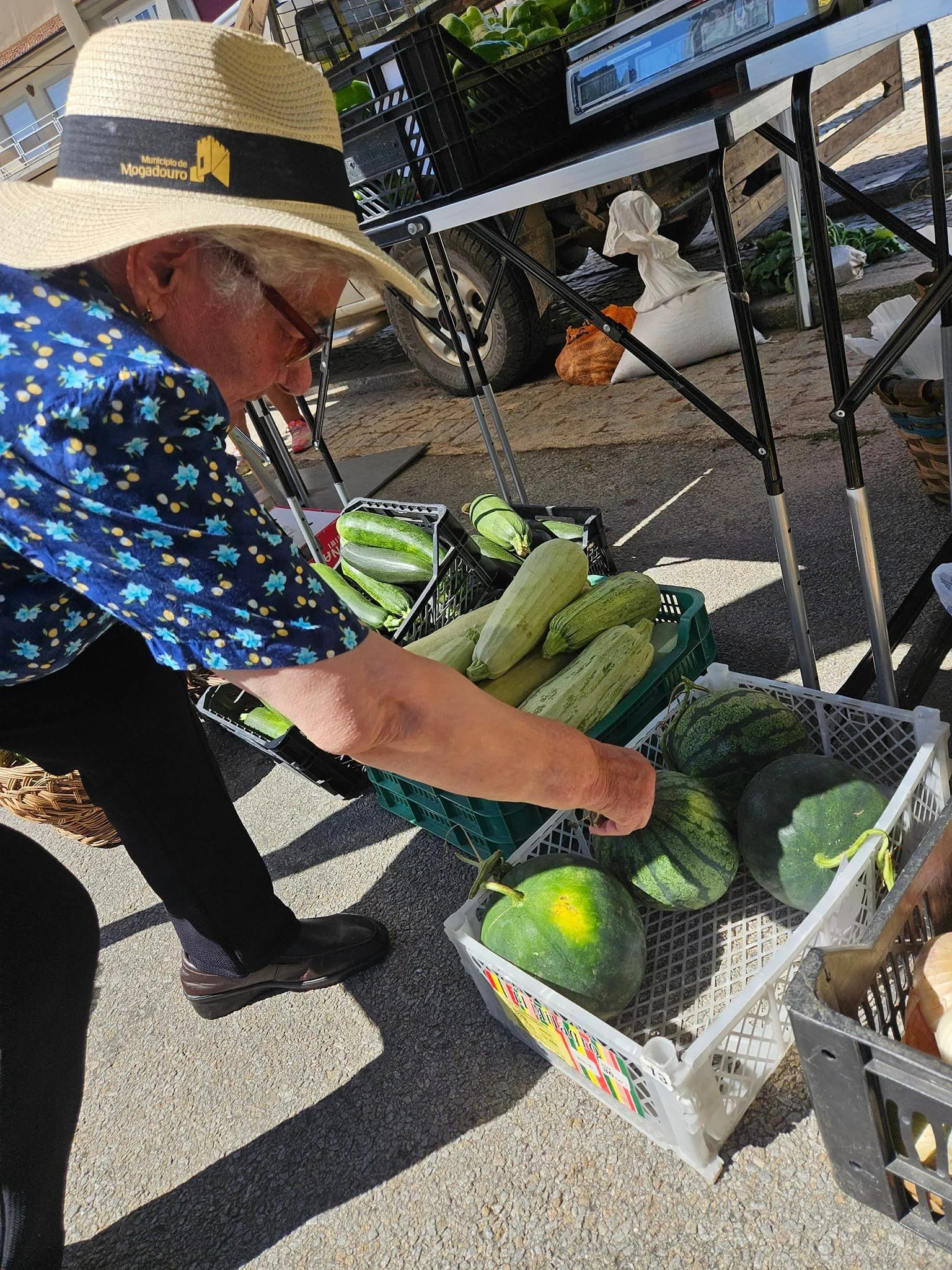 Feira do Emigrante em Sendim 50