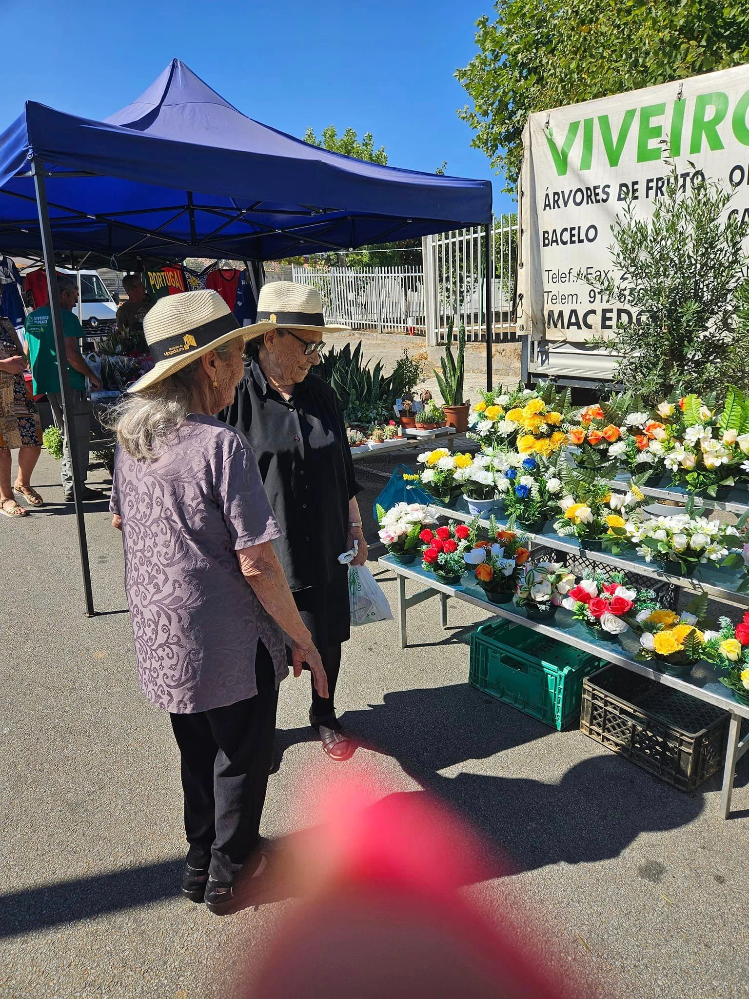 Feira do Emigrante em Sendim 8